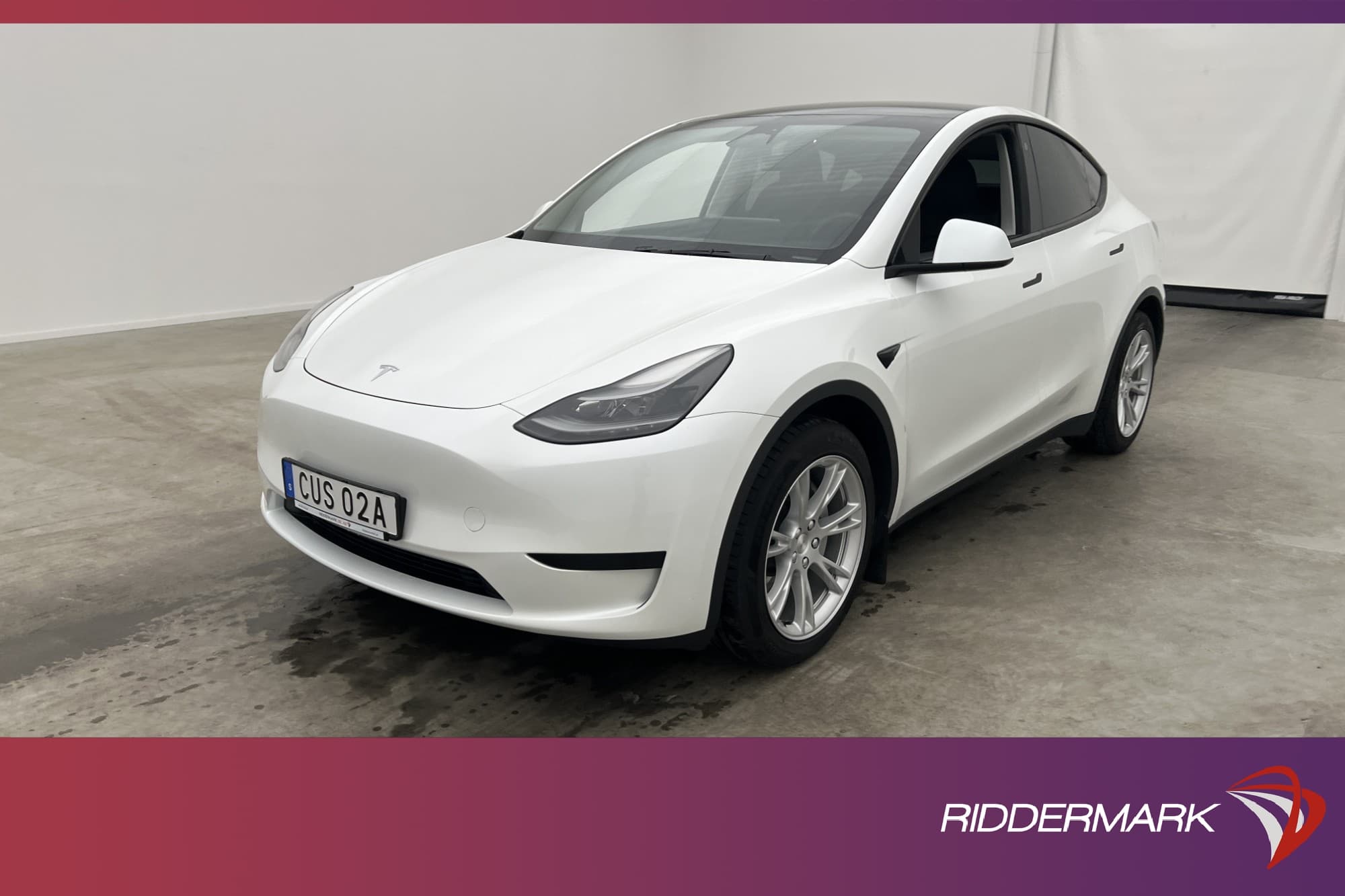 Tesla Model Y Standard Range