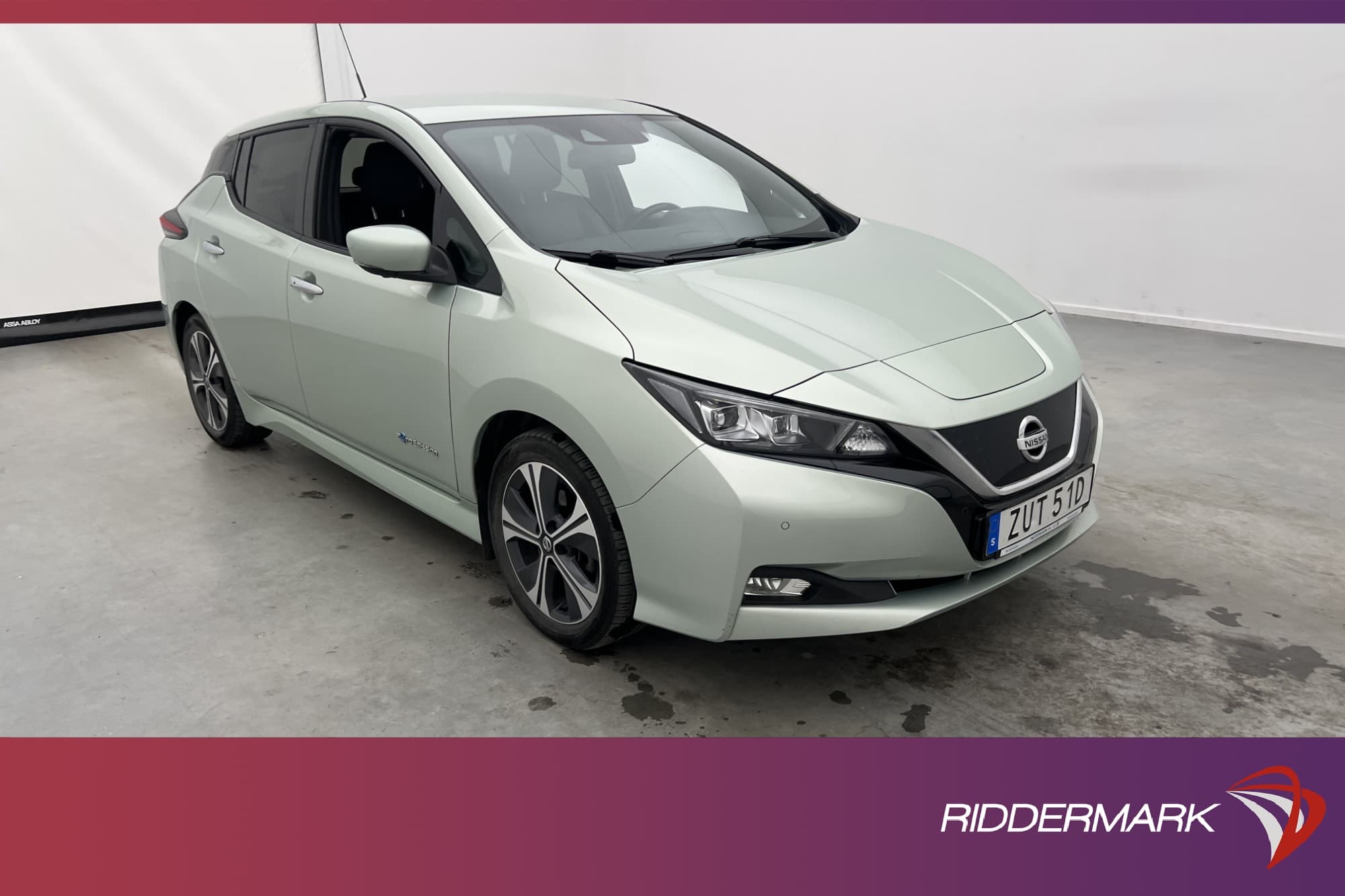 Nissan Leaf 150hk