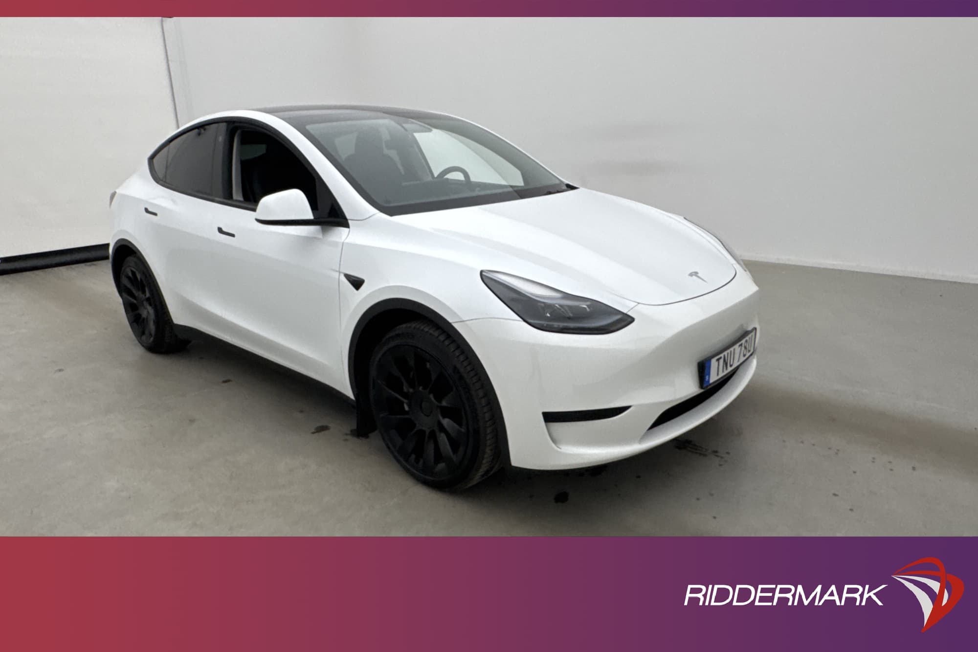 Tesla Model Y Standard Range