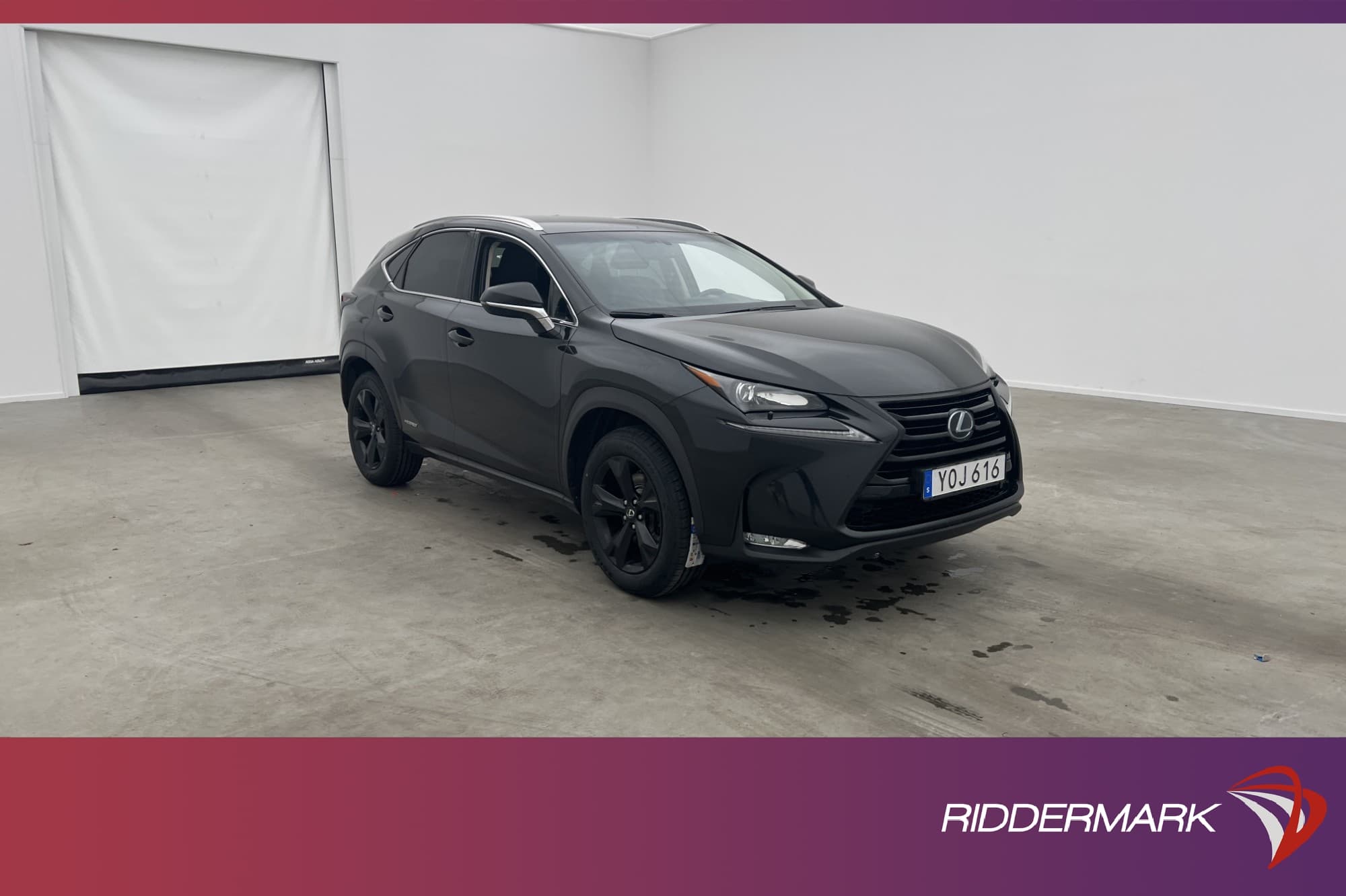 Lexus NX 300h 2.5 E-CVT AWD
