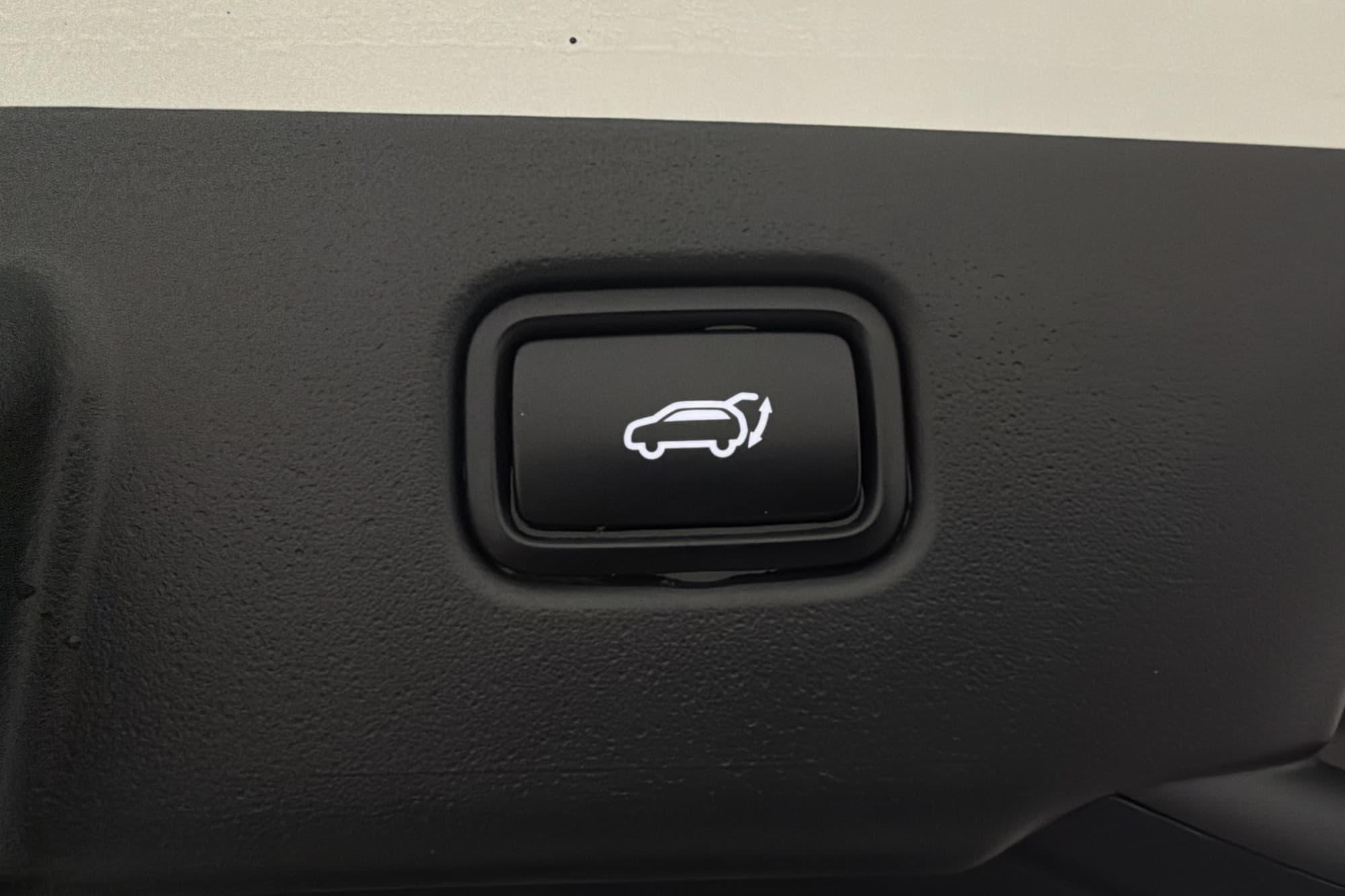 Kia Niro EV Action Läder Kamera Adapt-fart Navi Drag MOMS