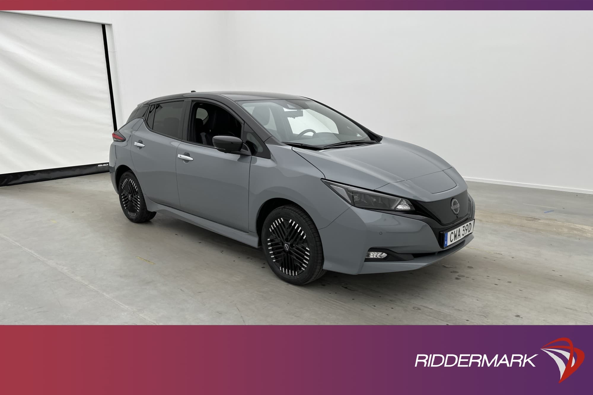 Nissan Leaf e+ 217hk