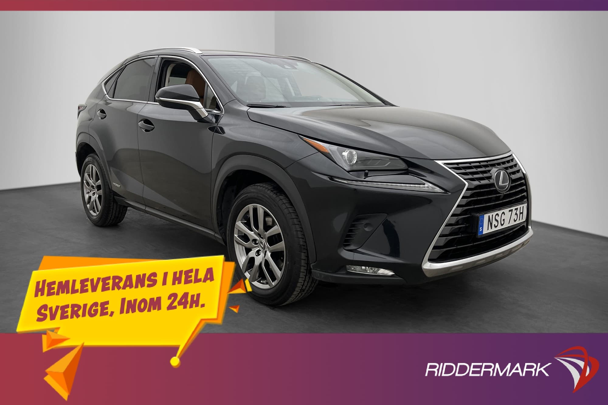 Lexus NX 300h 197hk AWD Executive Kamera Skinn Navi