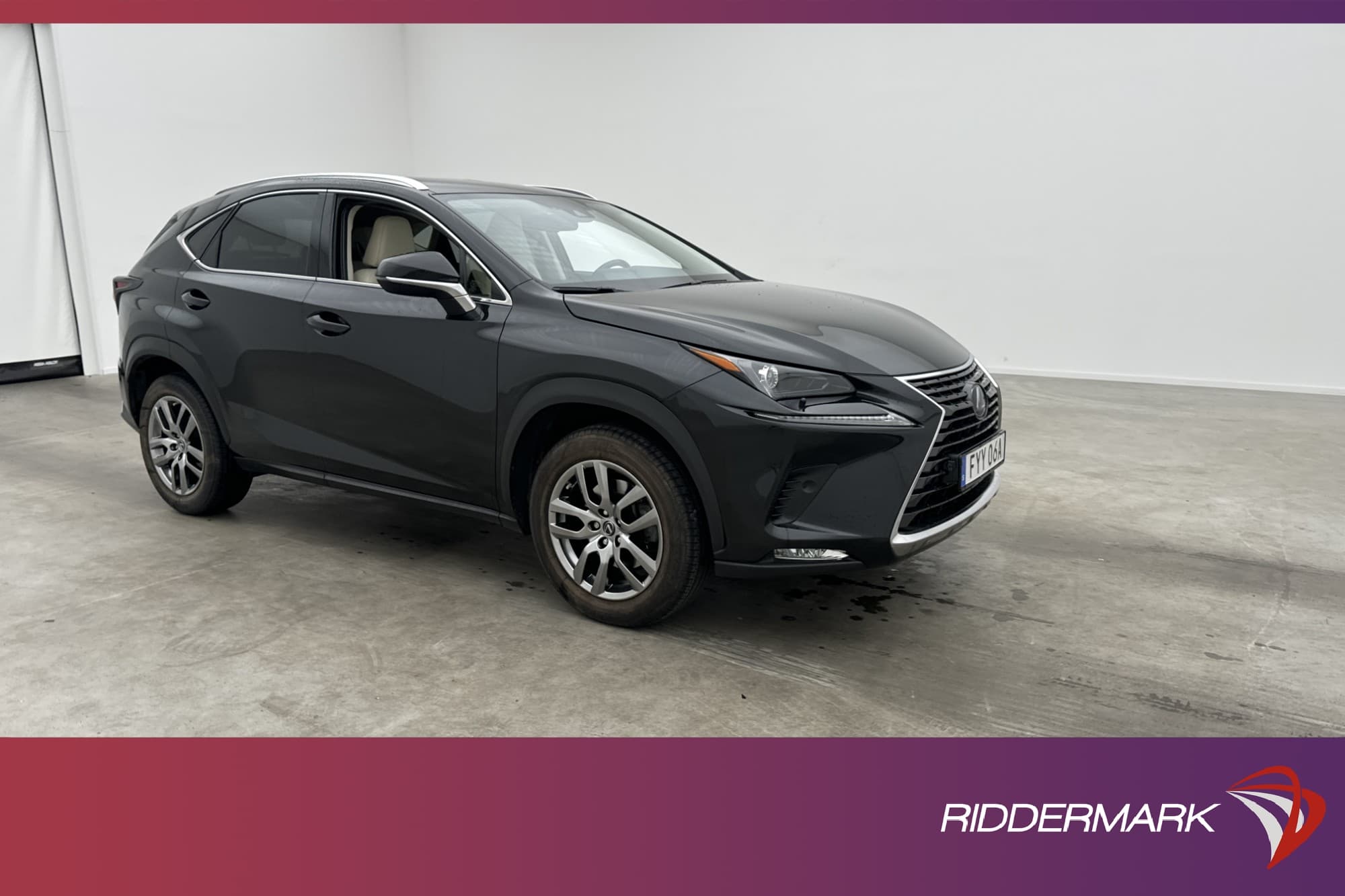 Lexus NX 300h AWD 197hk