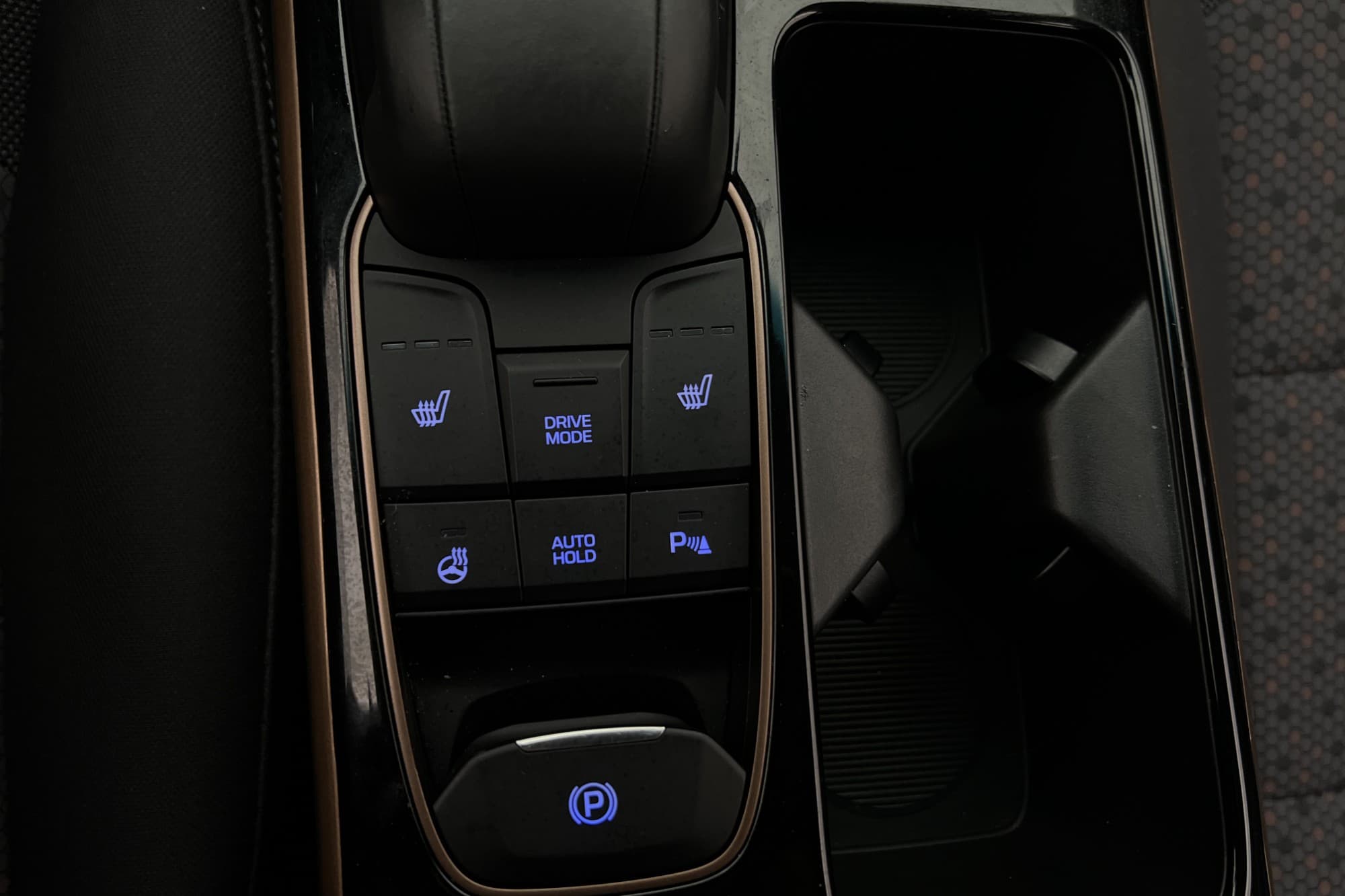 Hyundai Ioniq Electric 28 kWh 120hk Premium Kamera Navi
