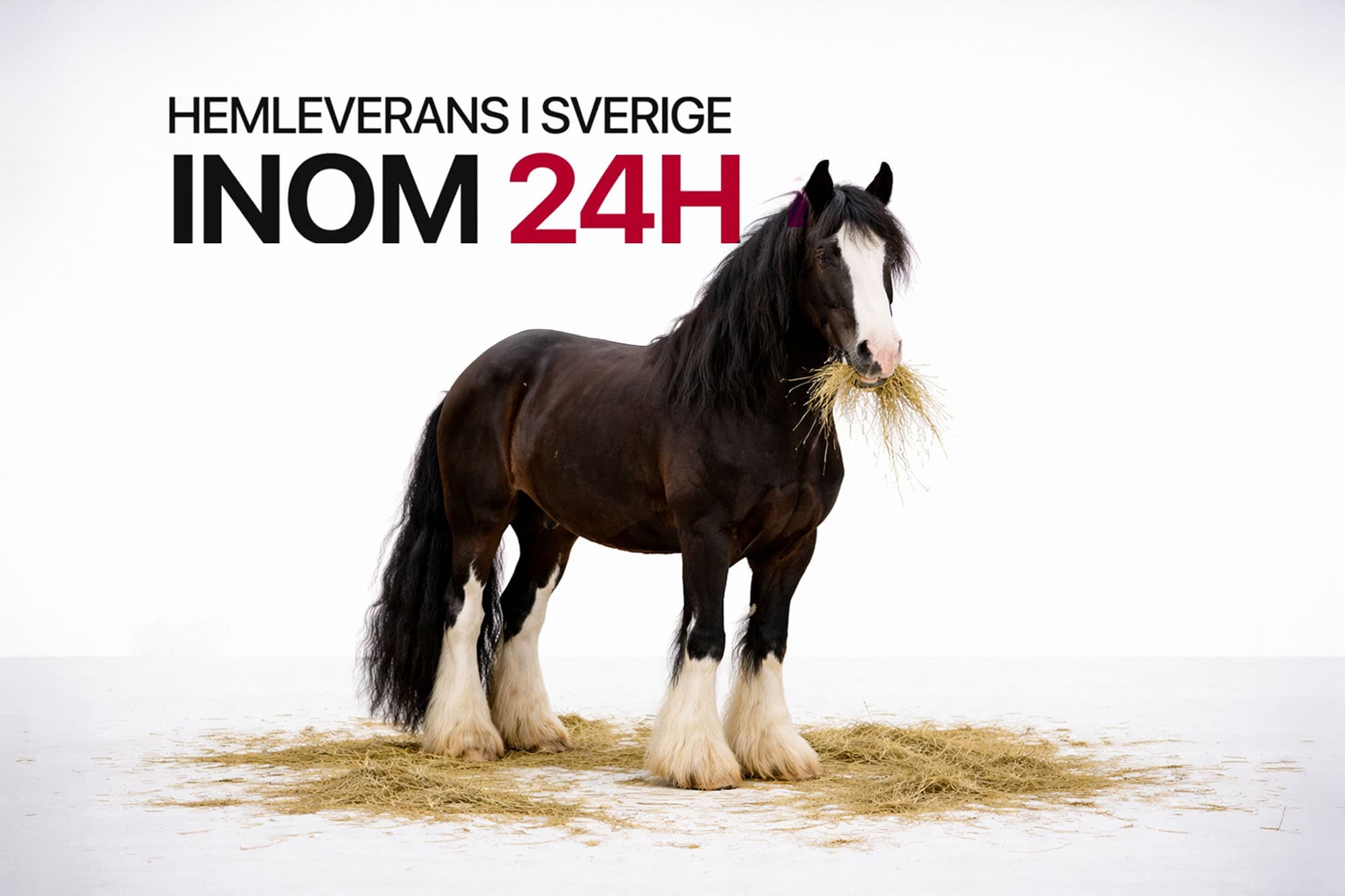 Förvånansvärt korkad faktiskt! Kan typ ingenting och är skrämmande dyr i drift.