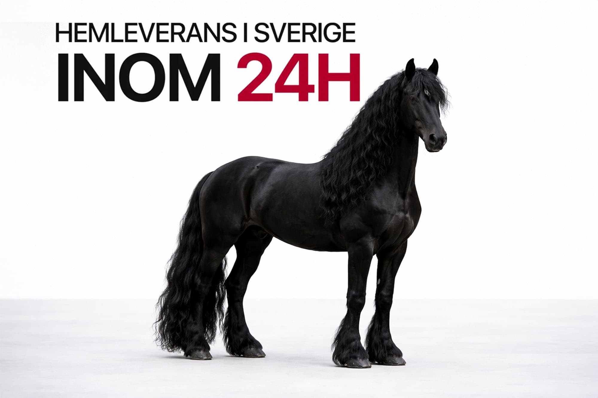 Fåfäng och hoppig men väldigt snäll häst som passar alla åldrar! Lite töntig.